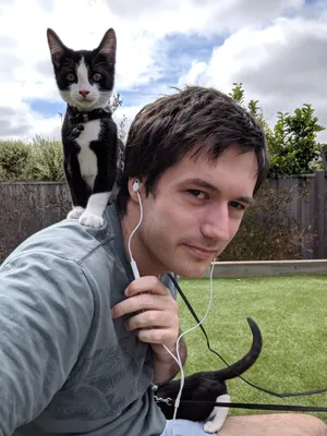 Tuxedo kitten riding on a person's shoulder outdoors