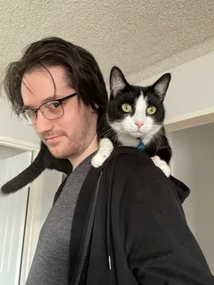 Tuxedo cat perched on a person's shoulder