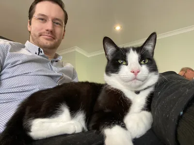 Tuxedo cat reclining in front of a seated person