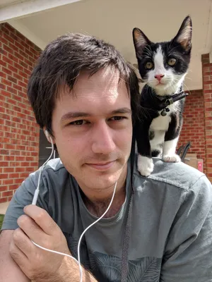 Tuxedo kitten perched on a person's shoulder outdoors